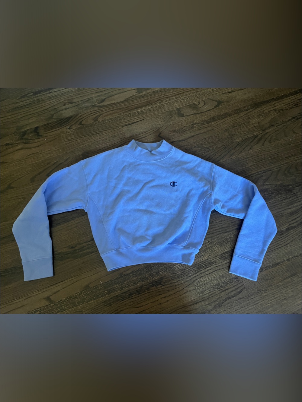 Champion Pastel Blue Crewneck Sweatshirt